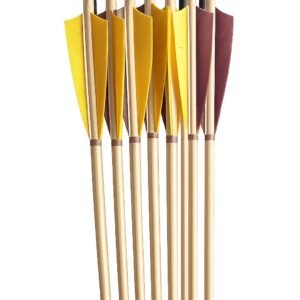 Premium Competition Arrows x 6
